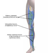 Saphenous Nerve Entrapment - Dr. Justin Dean