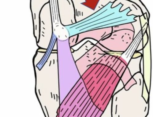 Oblique Popliteal Ligament: Anatomy and Treatment