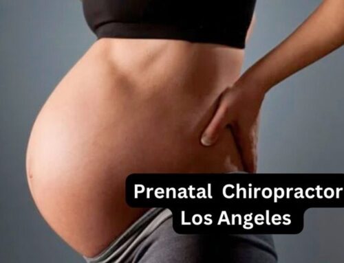 Prenatal Chiropractor Los Angeles: Best for Pregnant Mother’s