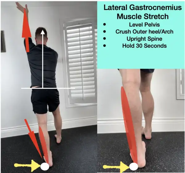 A specific stretch for the lateral head of the gastrocnemius calf muscle