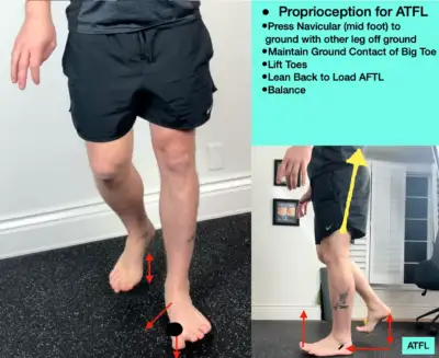 proprioceptive training of the ATFL to rehabilitate a inversion ankle sprain