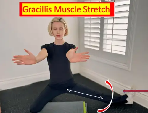 Gracilis Stretch: Stretch Your Muscles and Relieve Pain with Gracilis Stretches!