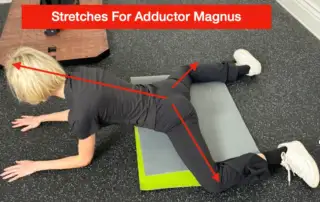 A picture with instructions on how a specifically stretch the Adductor Magnus