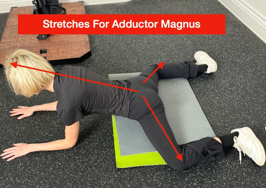 A picture with instructions on how a specifically stretch the Adductor Magnus